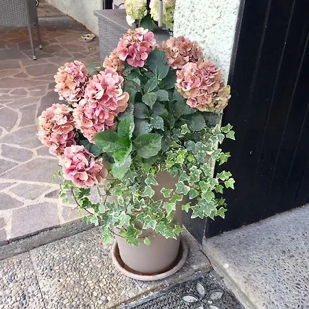 Bavarian - A94 Autobahn * Heldenstein